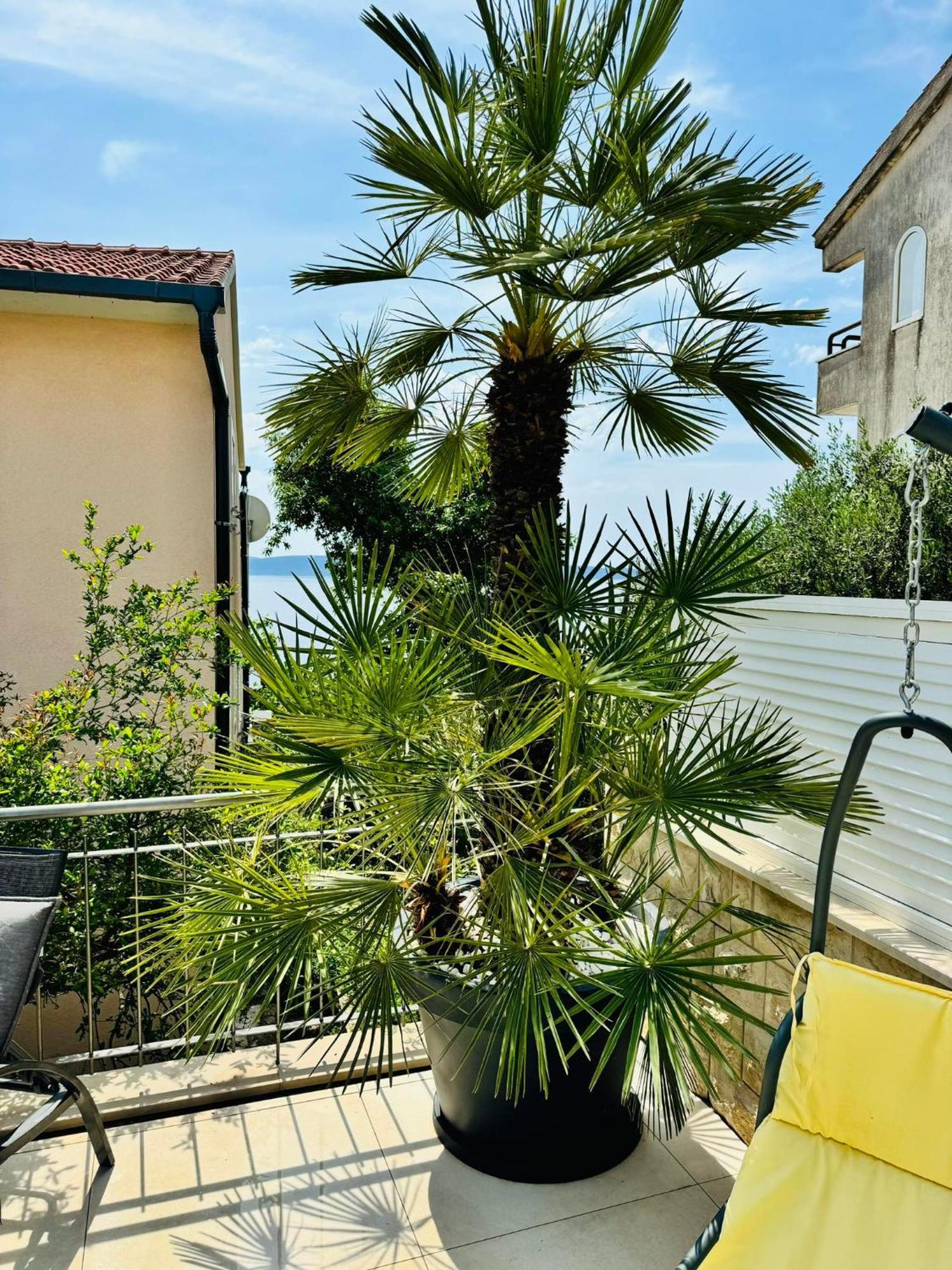 Villa Sirenis Trogir Exterior photo